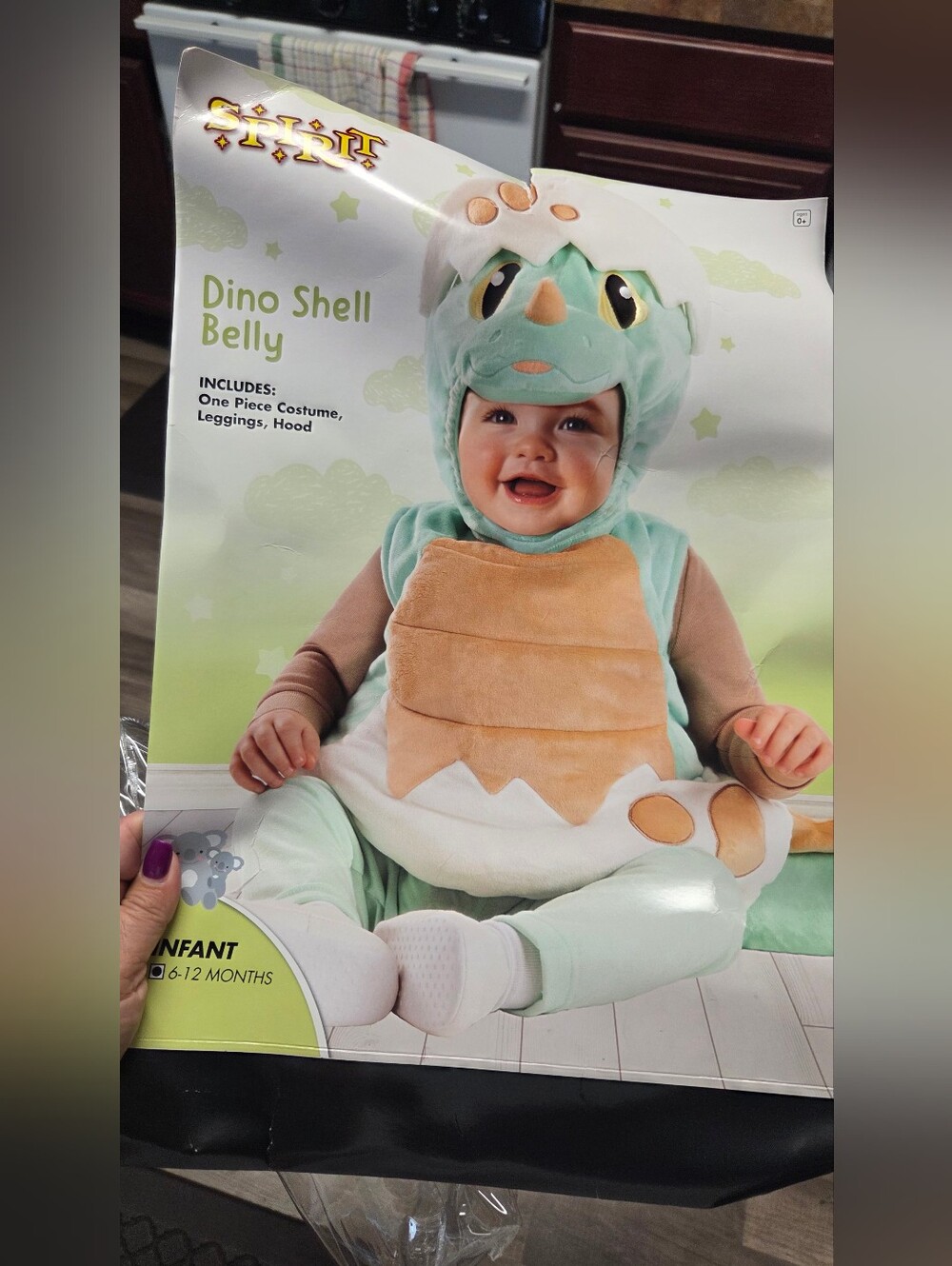 Dino Shell Belly Infant Costume - Mint/Brown